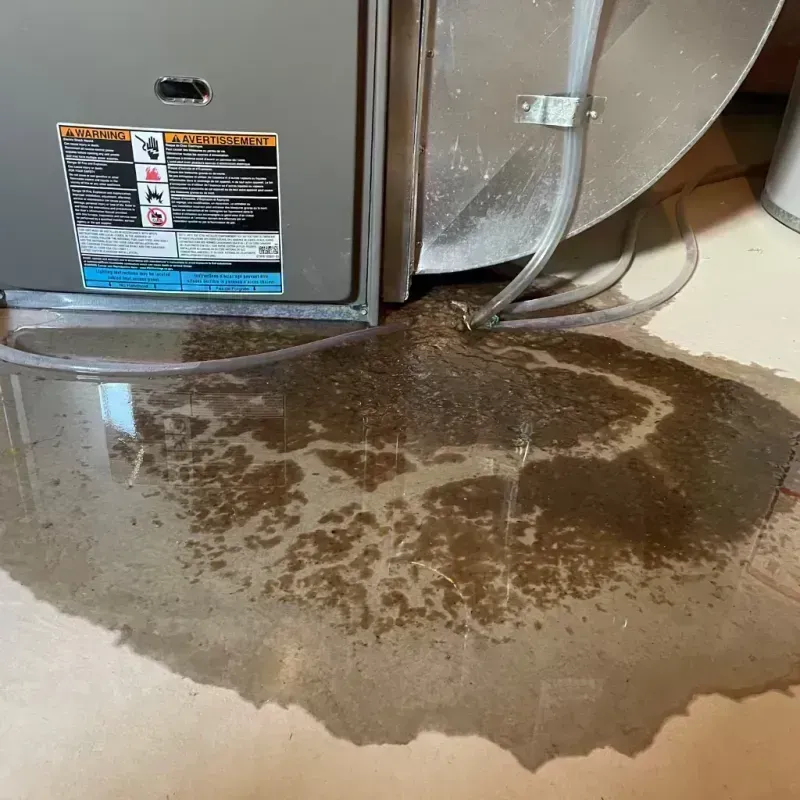 Appliance Leak Cleanup in Taloga, OK